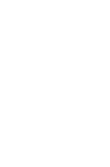 SILVER STORM